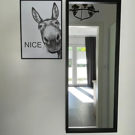 Braun - Dein Ankerplatz Lohne (North Rhine-Westphalia)