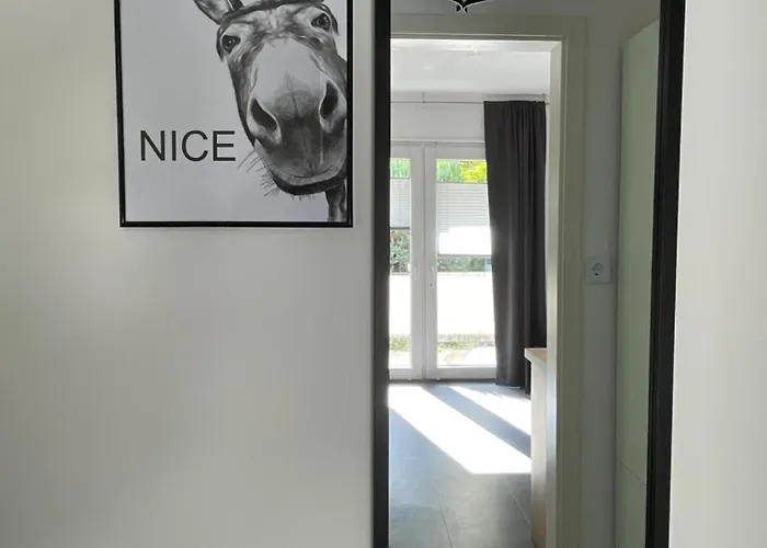 Braun - Dein Ankerplatz Lohne (North Rhine-Westphalia)