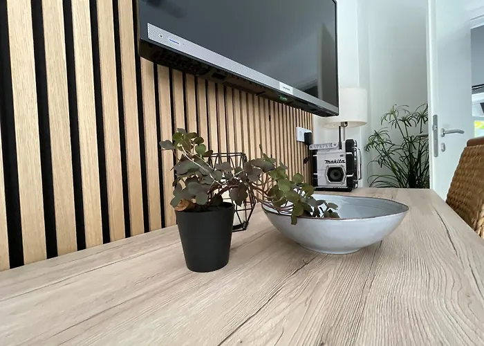 Braun - Dein Ankerplatz * Lohne (North Rhine-Westphalia)