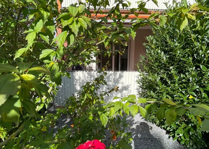 Braun - Dein Ankerplatz Appartement